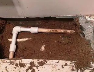 额济纳旗测漏水哪家好