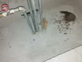 额济纳旗卫生间测漏水价格明细