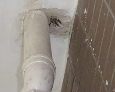 额济纳旗漏水检测哪家好